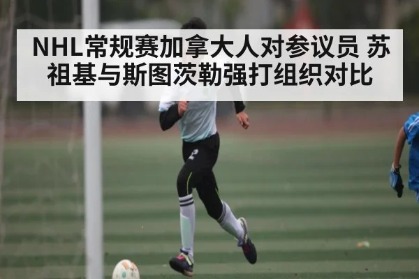 NHL常规赛加拿大人对参议员 苏祖基与斯图茨勒强打组织对比（kaiyun）
